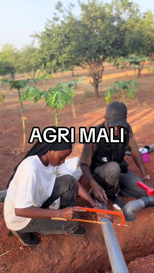TikTok video thumbnail by agrimali22