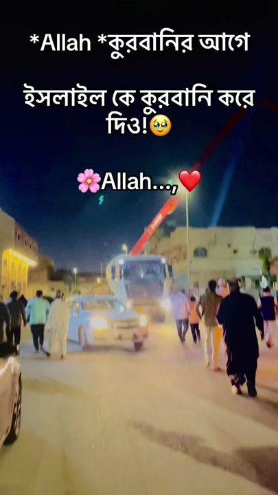 TikTok video thumbnail by user338779877