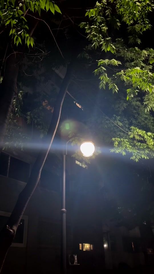TikTok video thumbnail by oiiip.z