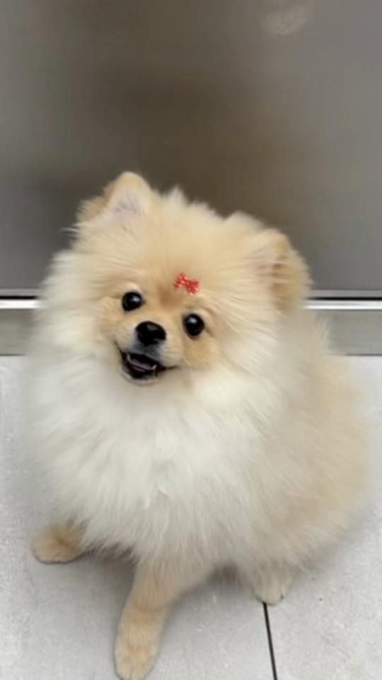 TikTok video thumbnail by user.favv0