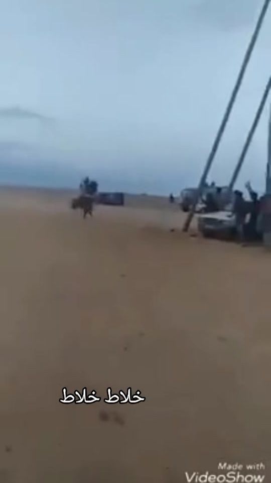 TikTok video thumbnail by __635364