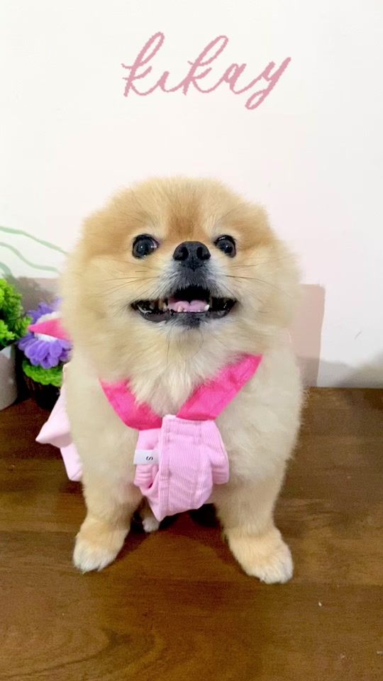 TikTok video thumbnail by style.it.daily