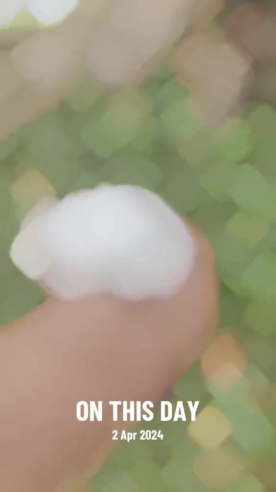 TikTok video thumbnail by hammy_hut