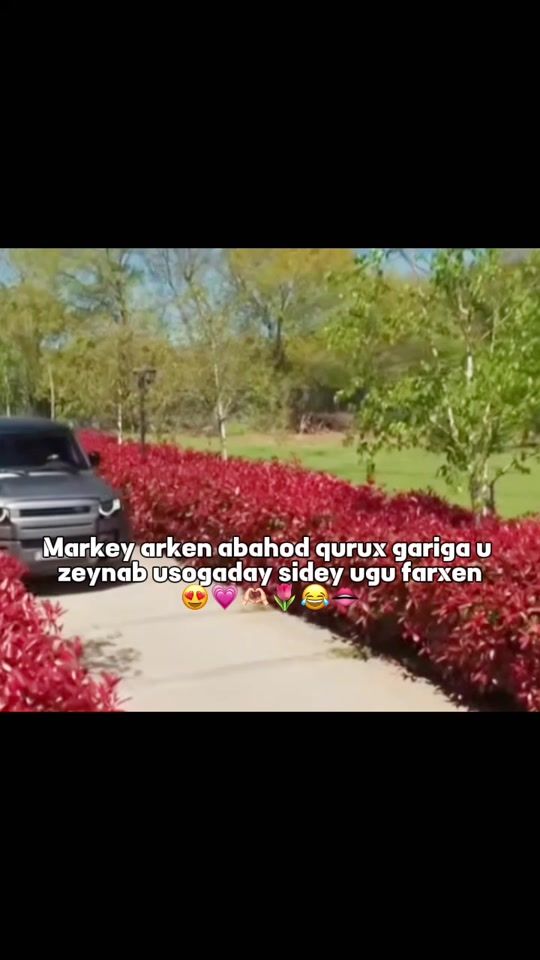TikTok video thumbnail by ridwaney34