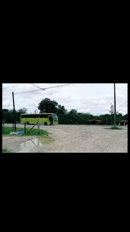 TikTok video thumbnail by rogertoyer55