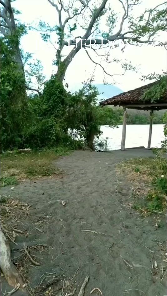 TikTok video thumbnail by douglasaleman53