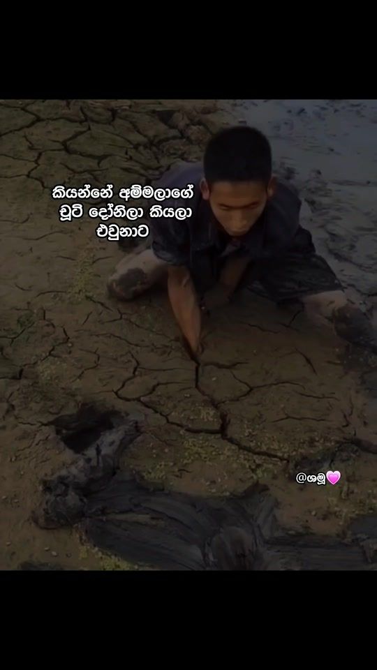 TikTok video thumbnail by shamuuu64