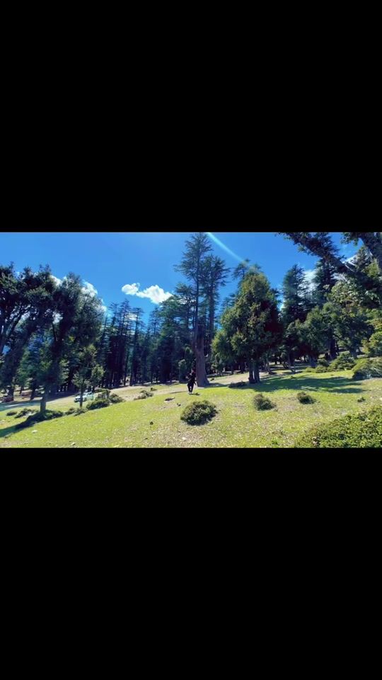 TikTok video thumbnail by majeedullah8082