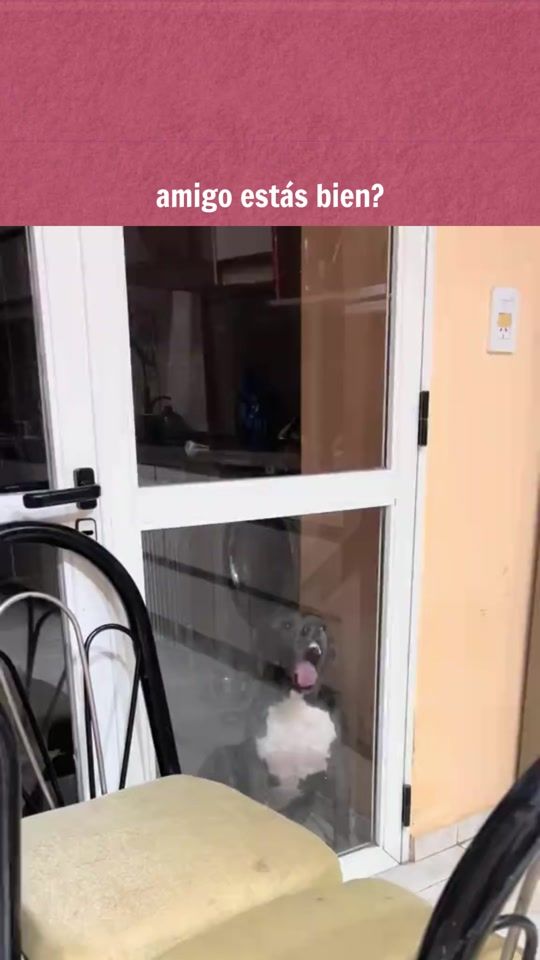TikTok video thumbnail by aguantaoficial
