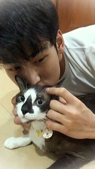TikTok video thumbnail by nitchamonlove