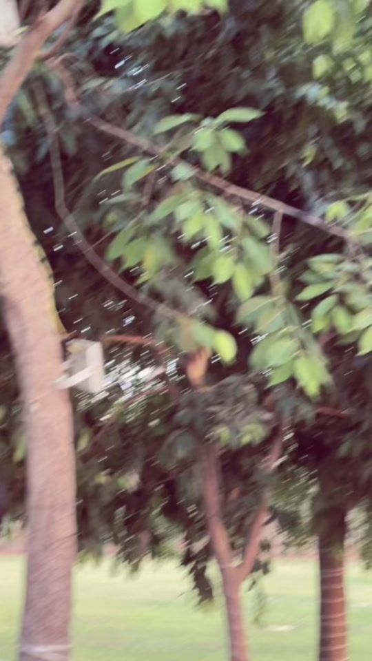 TikTok video thumbnail by arslan_jani55