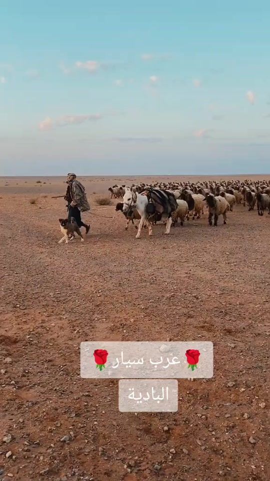 TikTok video thumbnail by f_a_r_j_