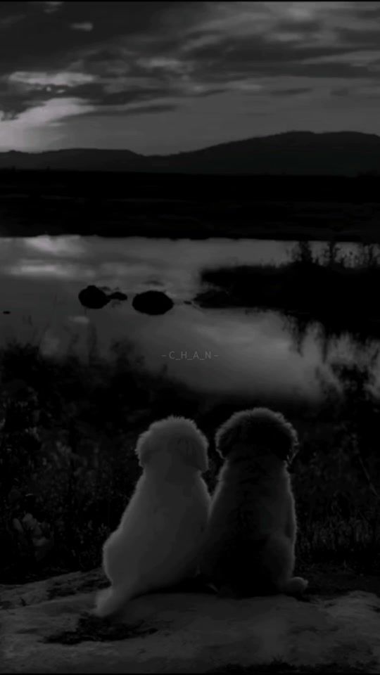 TikTok video thumbnail by pvangtalk