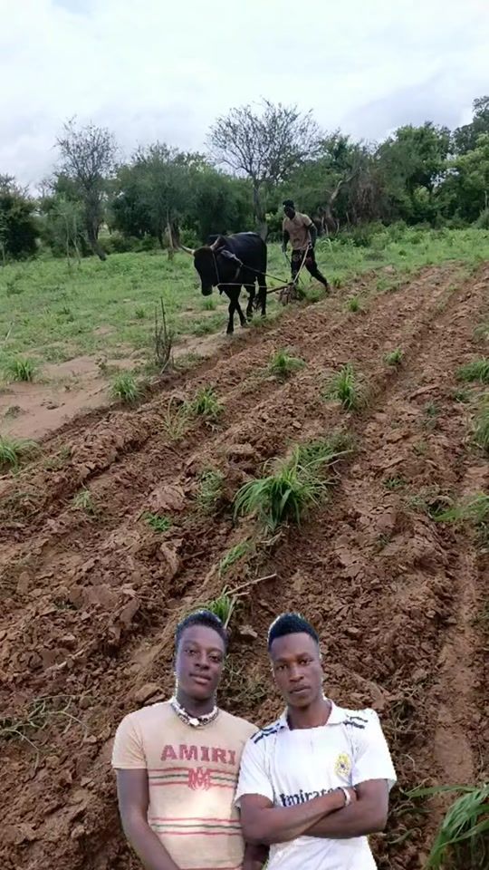 TikTok video thumbnail by sekou_gue