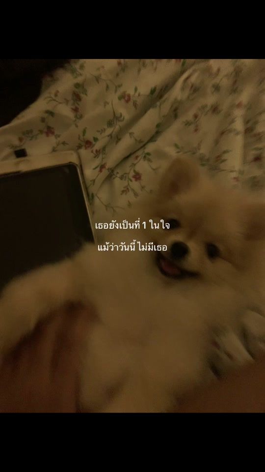 TikTok video thumbnail by user5679970384470