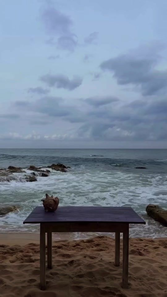 TikTok video thumbnail by monkeytourssrilanka