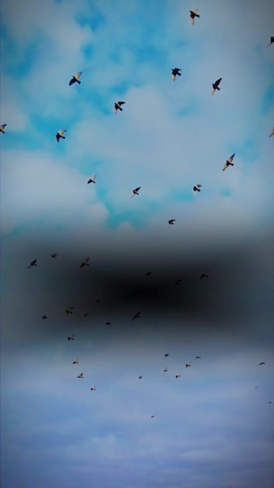 TikTok video thumbnail by user2931696137014