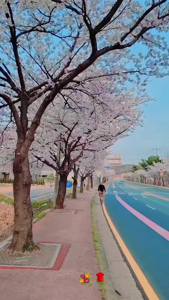 TikTok video thumbnail by binodtamang123binod