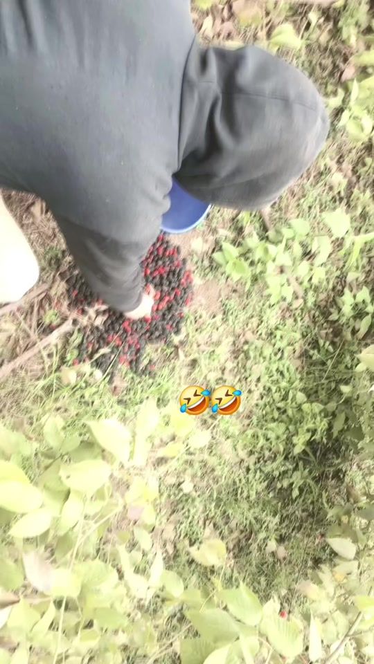 TikTok video thumbnail by estefy5o