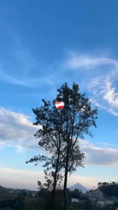 TikTok video thumbnail by adelgt6