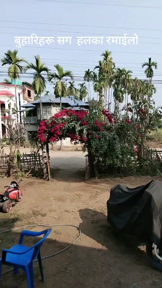 TikTok video thumbnail by lilatamang12