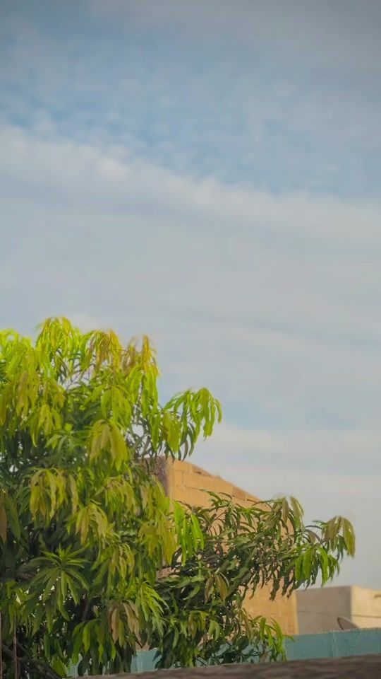 TikTok video thumbnail by starfah19