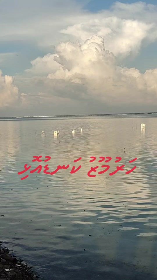 TikTok video thumbnail by abdul.azeez623