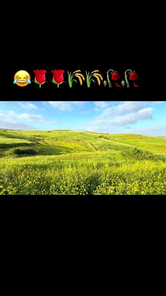 TikTok video thumbnail by nrlhouda