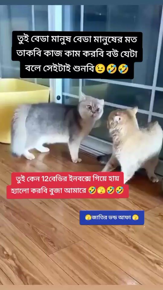 TikTok video thumbnail by jannt5566