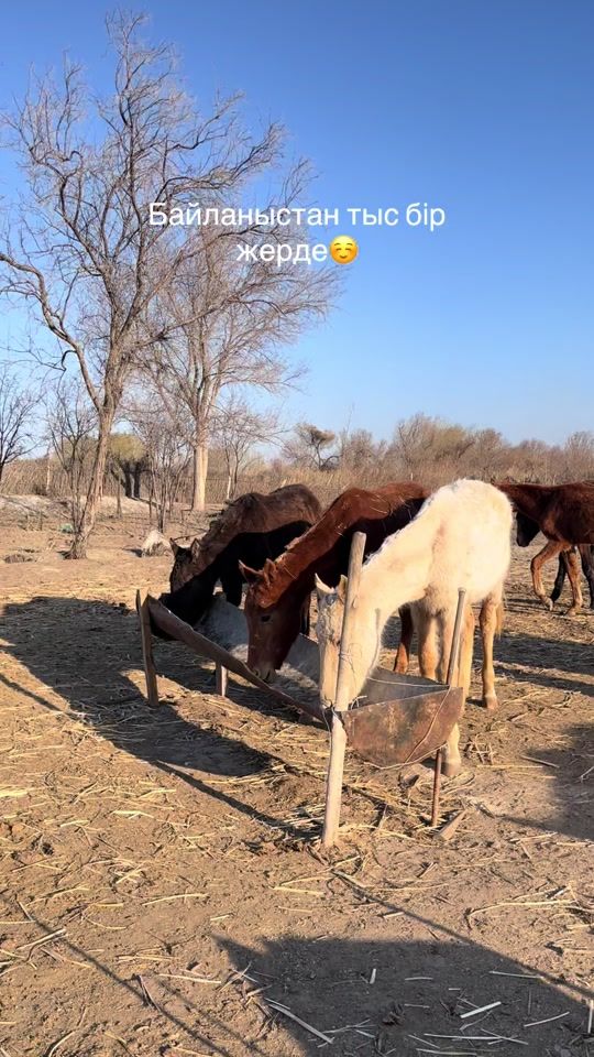 TikTok video thumbnail by gul.2340