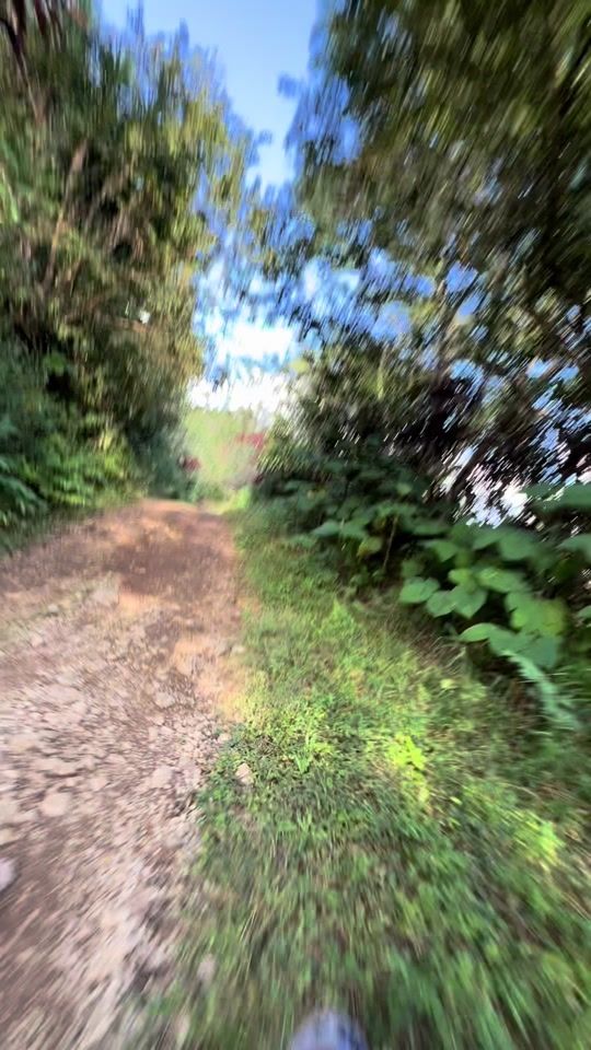 TikTok video thumbnail by carlosmauriciosag