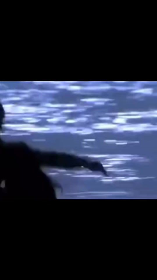 TikTok video thumbnail by arhista_