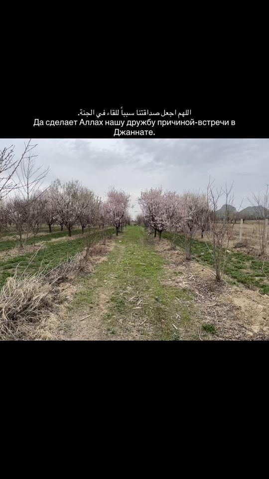 TikTok video thumbnail by rlmzz1