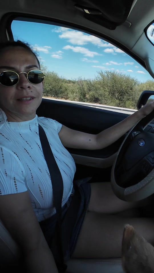 TikTok video thumbnail by fordlady