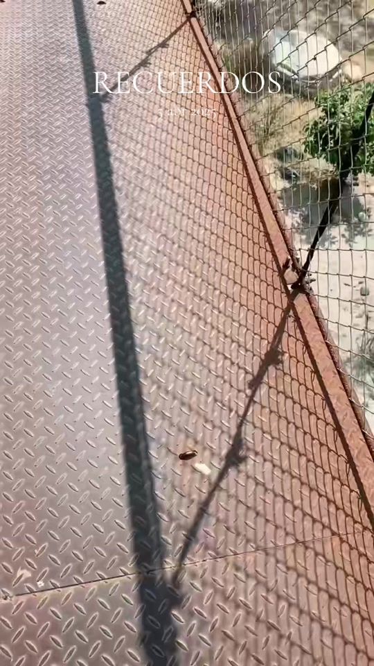 TikTok video thumbnail by katy_tomas.568