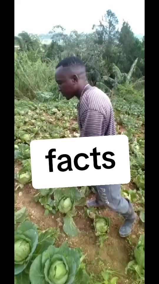 TikTok video thumbnail by laughternonestop