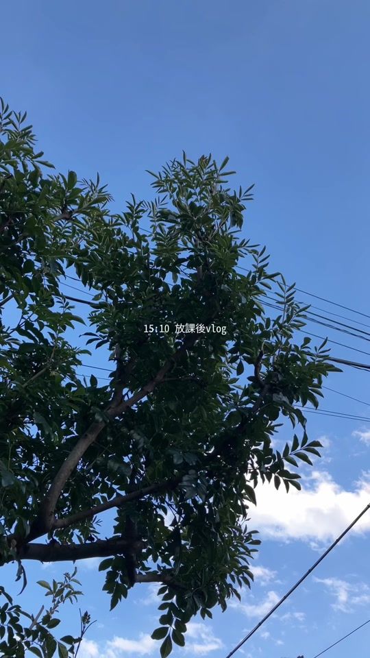 TikTok video thumbnail by q3evx