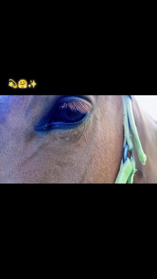 TikTok video thumbnail by husayinjon_7