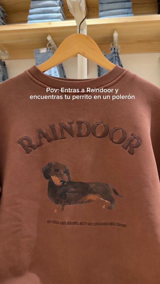 TikTok video thumbnail by raindoor_chile