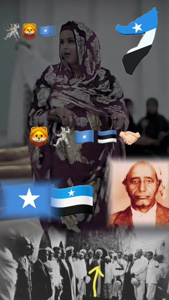 TikTok video thumbnail by ugaarsato