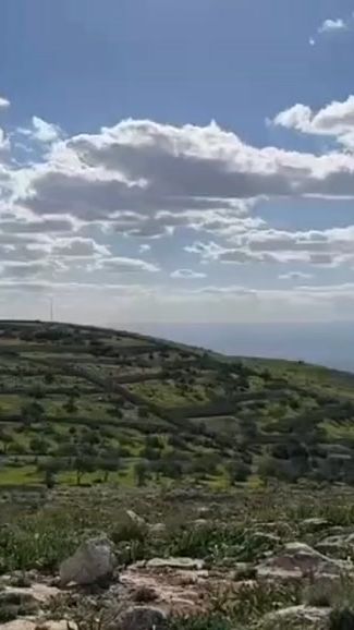 TikTok video thumbnail by omar_manaseer
