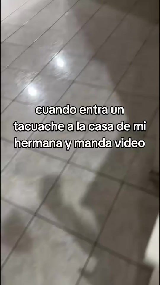 TikTok video thumbnail by ayj_503