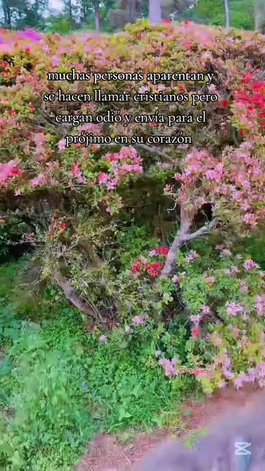 TikTok video thumbnail by roxyfuentes_oficial