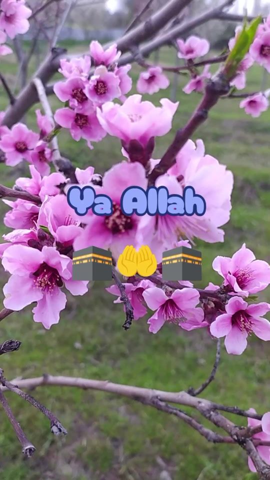 TikTok video thumbnail by 28_05_23_