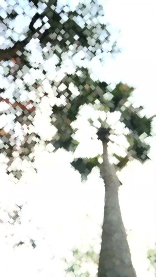 TikTok video thumbnail by nondini.sorker
