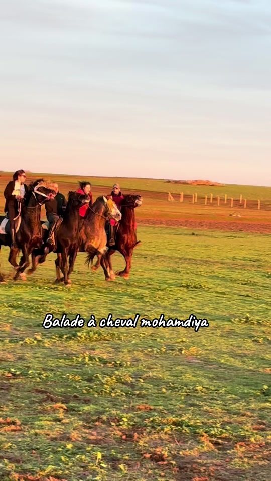 TikTok video thumbnail by azouz.hajji