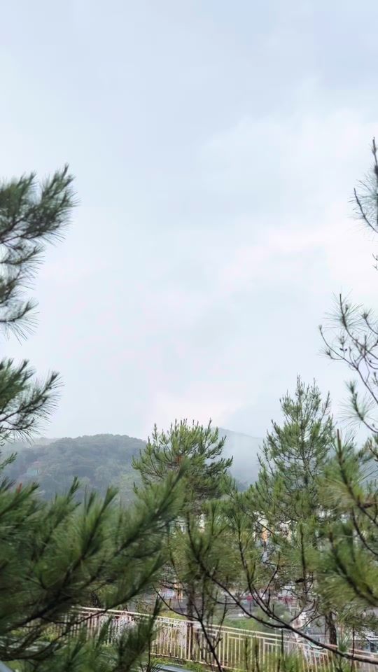 TikTok video thumbnail by bellzyaa