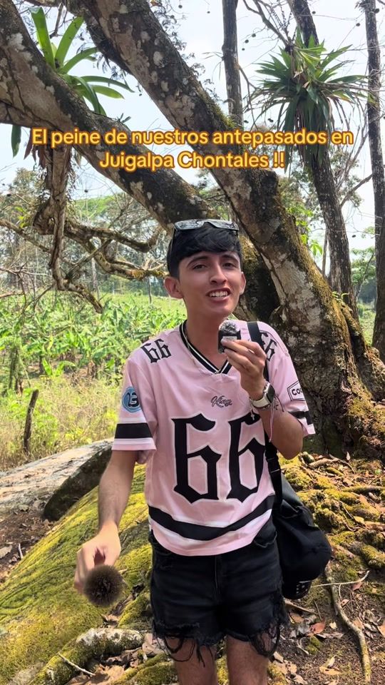 TikTok video thumbnail by venenitonica