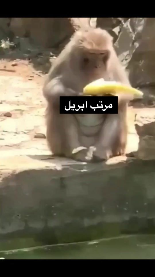 TikTok video thumbnail by so0o0on_89
