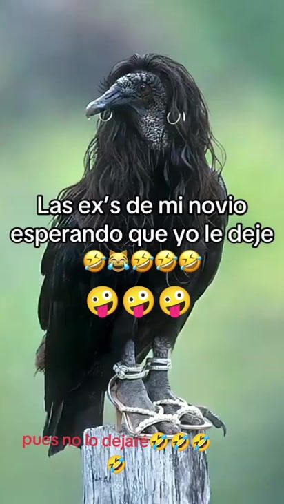 TikTok video thumbnail by judit19mel
